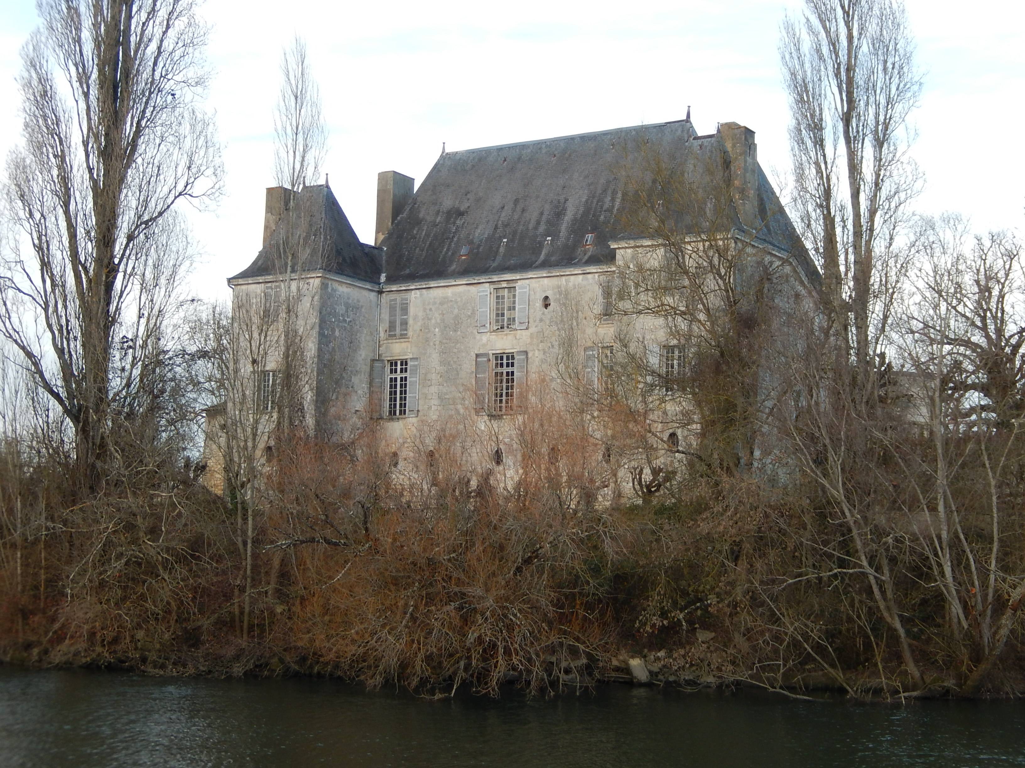 Photo de Castillo de Bussac