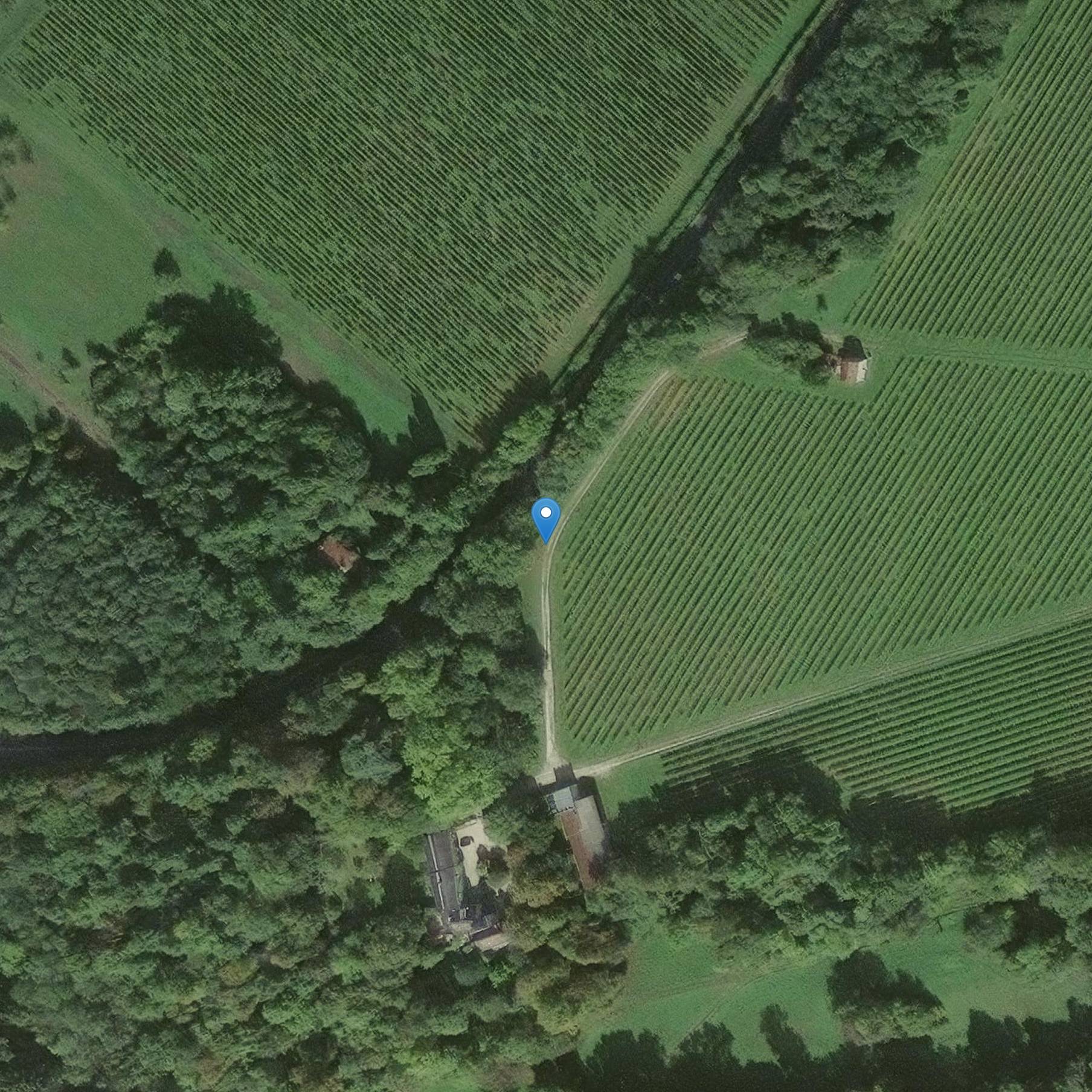 Photo de シャトー・デ・ラ・シャルロッタリー