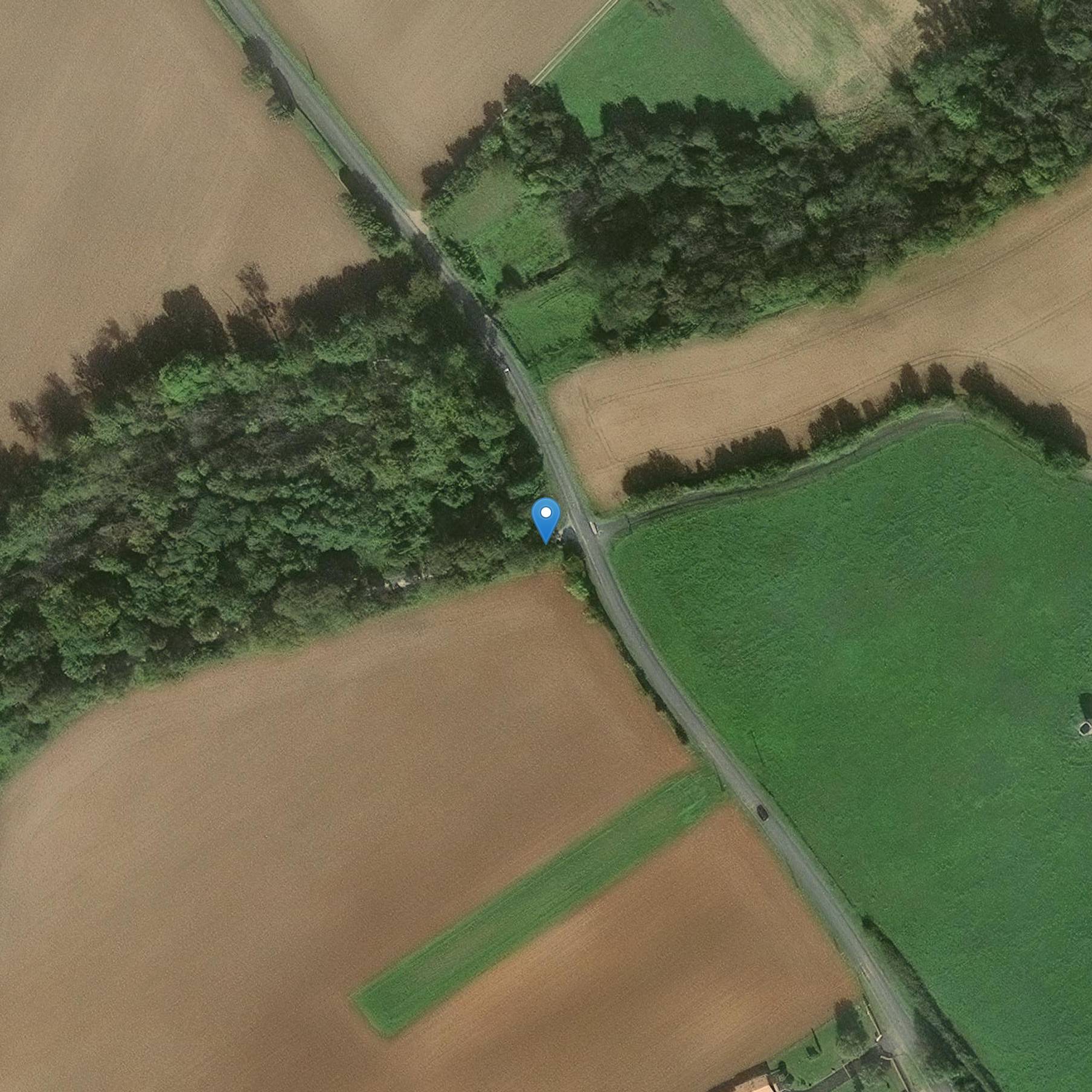 Photo de シャトー・ド・モーユパイド