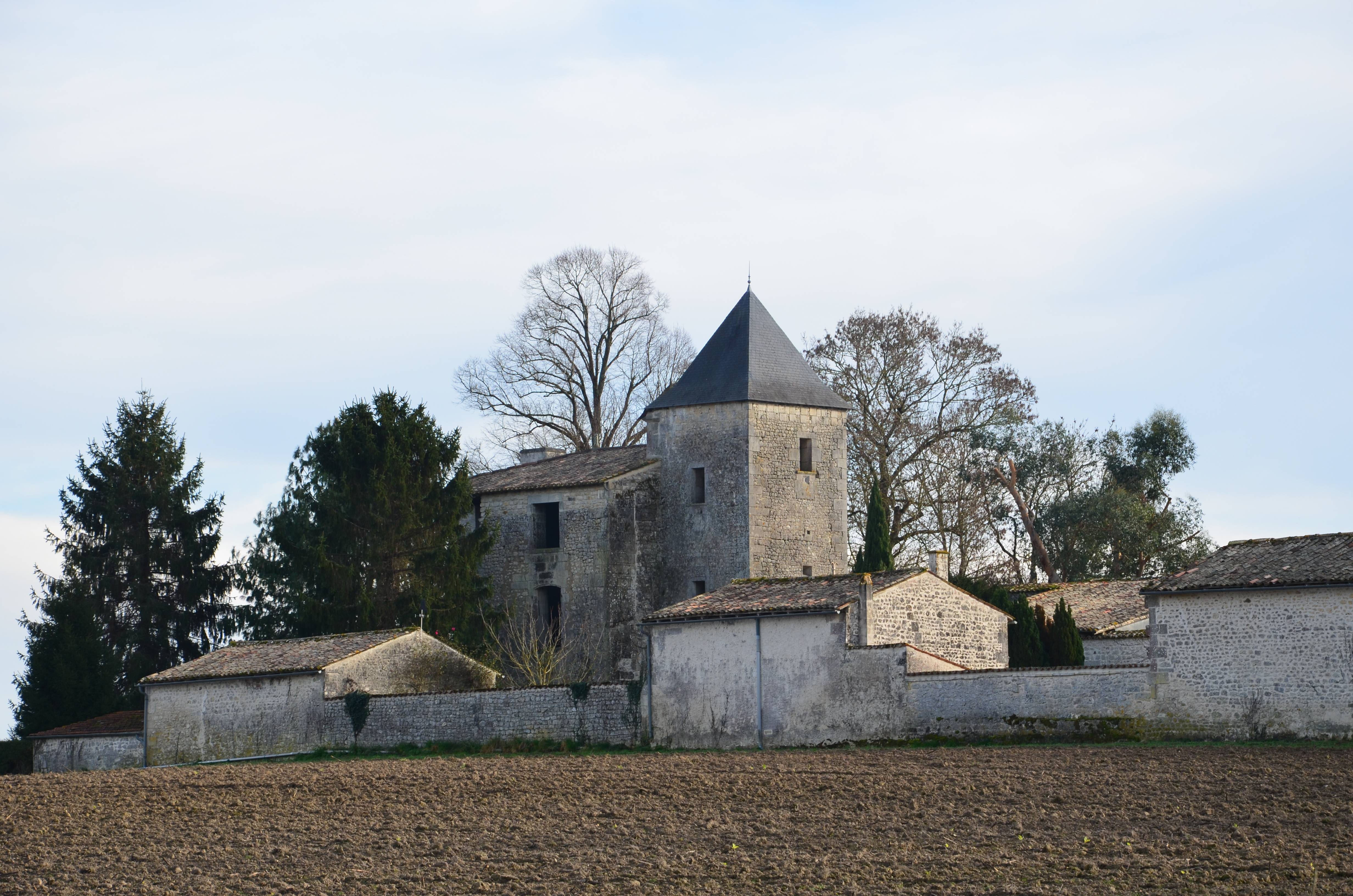 Photo de Schloss von Nieul-le-Virouil