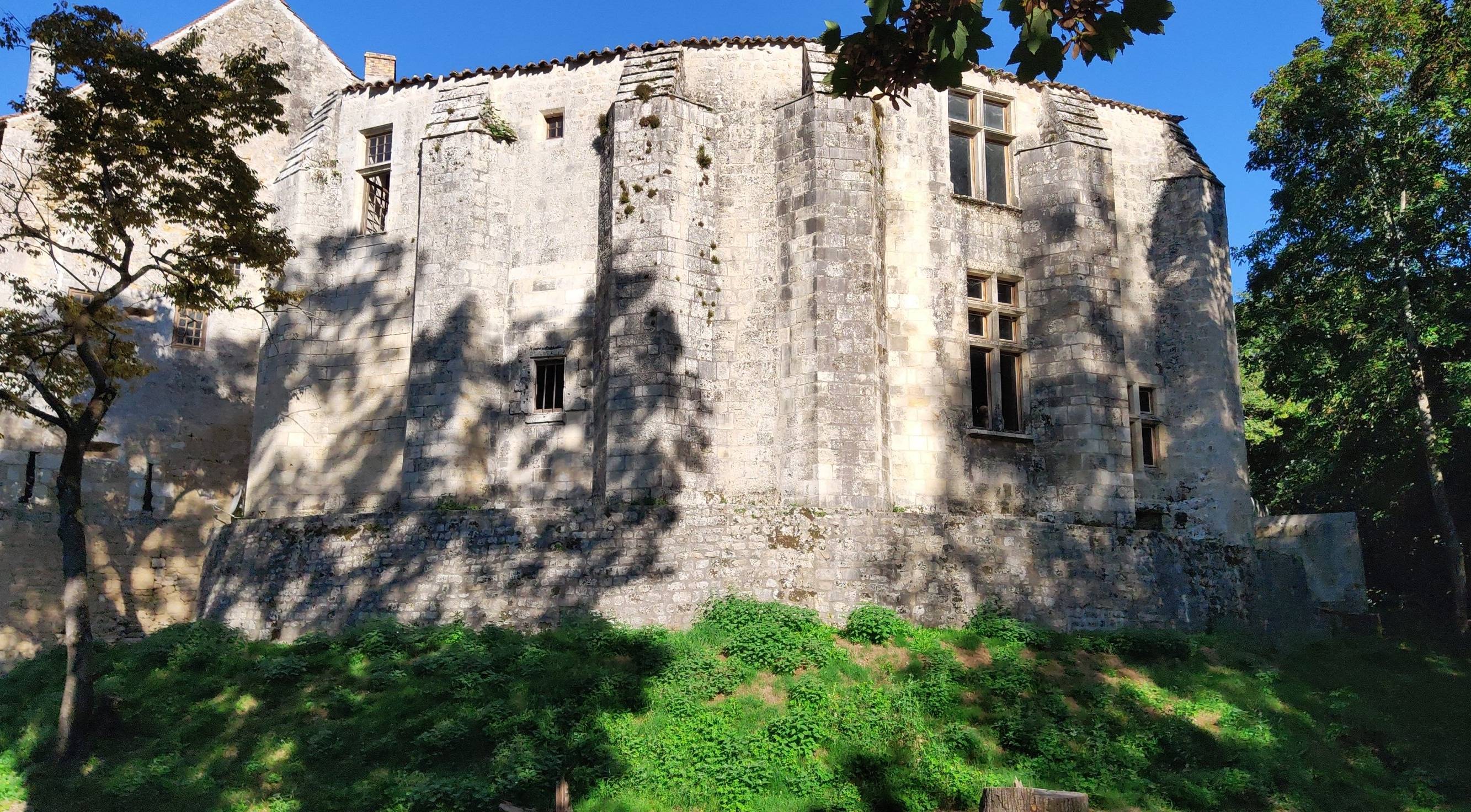 Photo de Château de Pisany