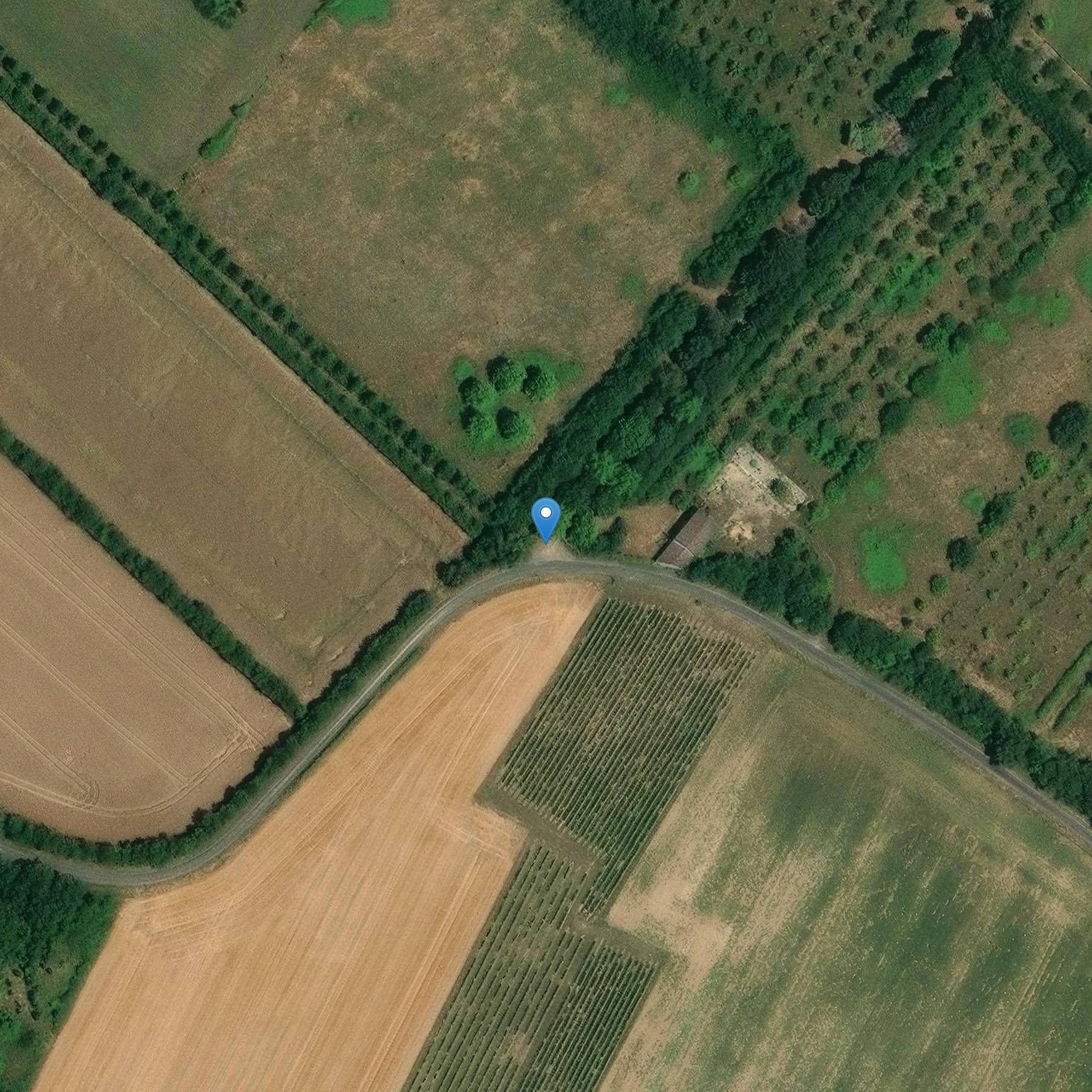 Photo de Castello di Ransanne