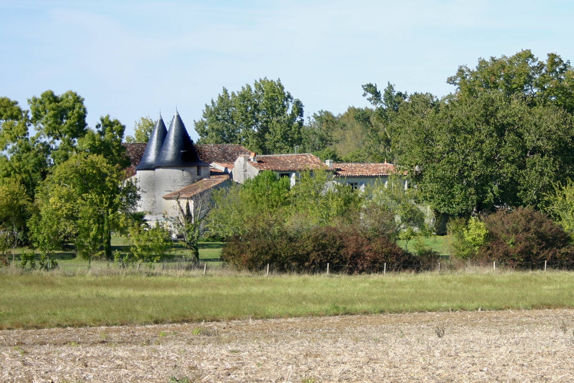 Photo de Château de Thérac