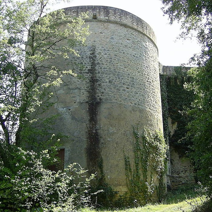 Photo de Château de Touffou