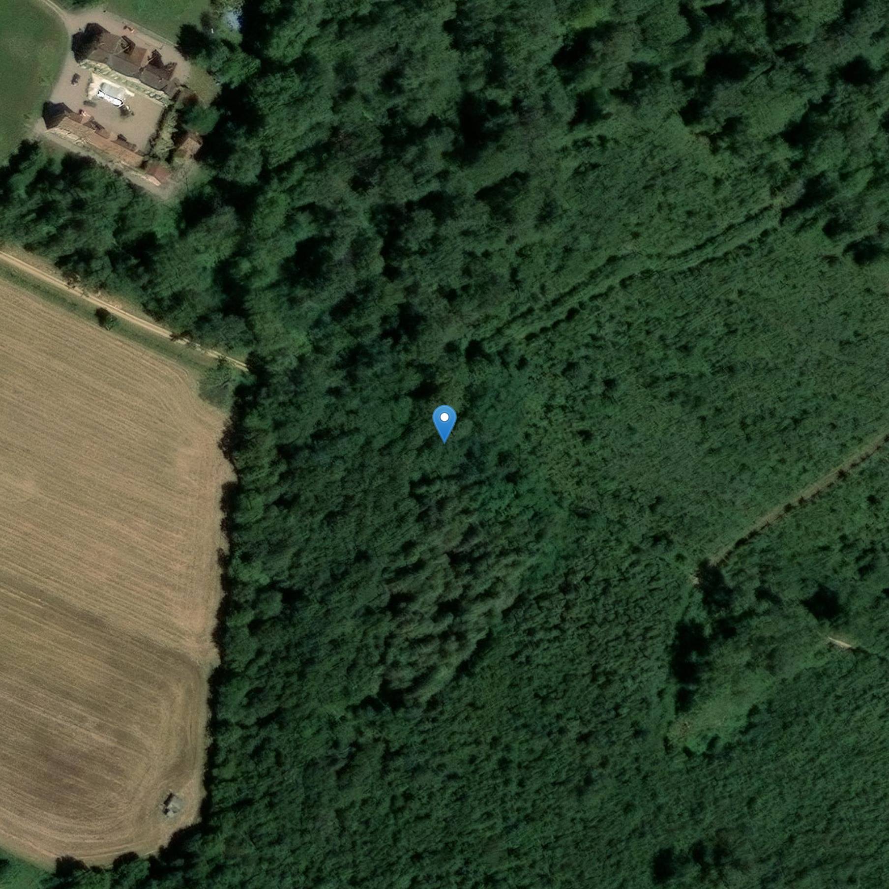 Photo de シャトー デ ボルデス