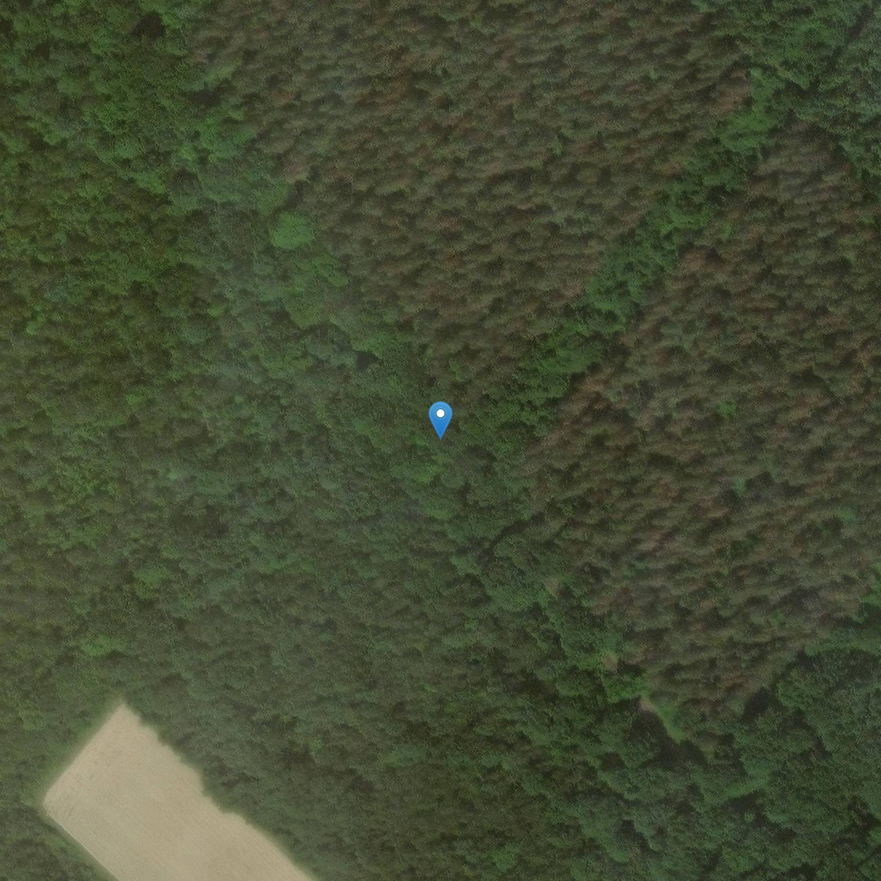 Photo de シャトー・デ・ラ・ブロゼット