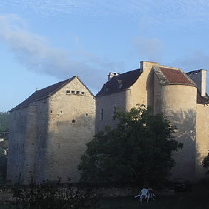 Photo de Château de Toulongergues