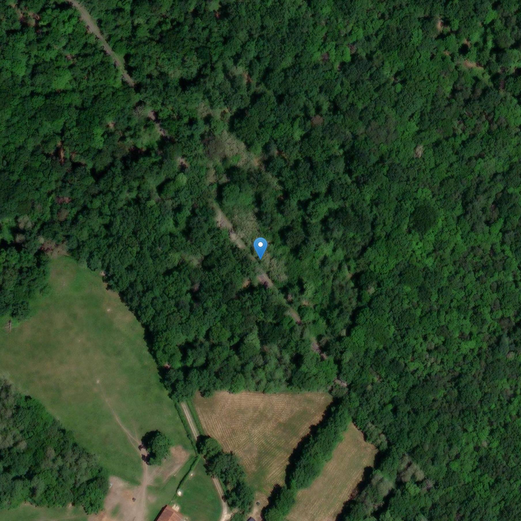 Photo de Castello della Corte