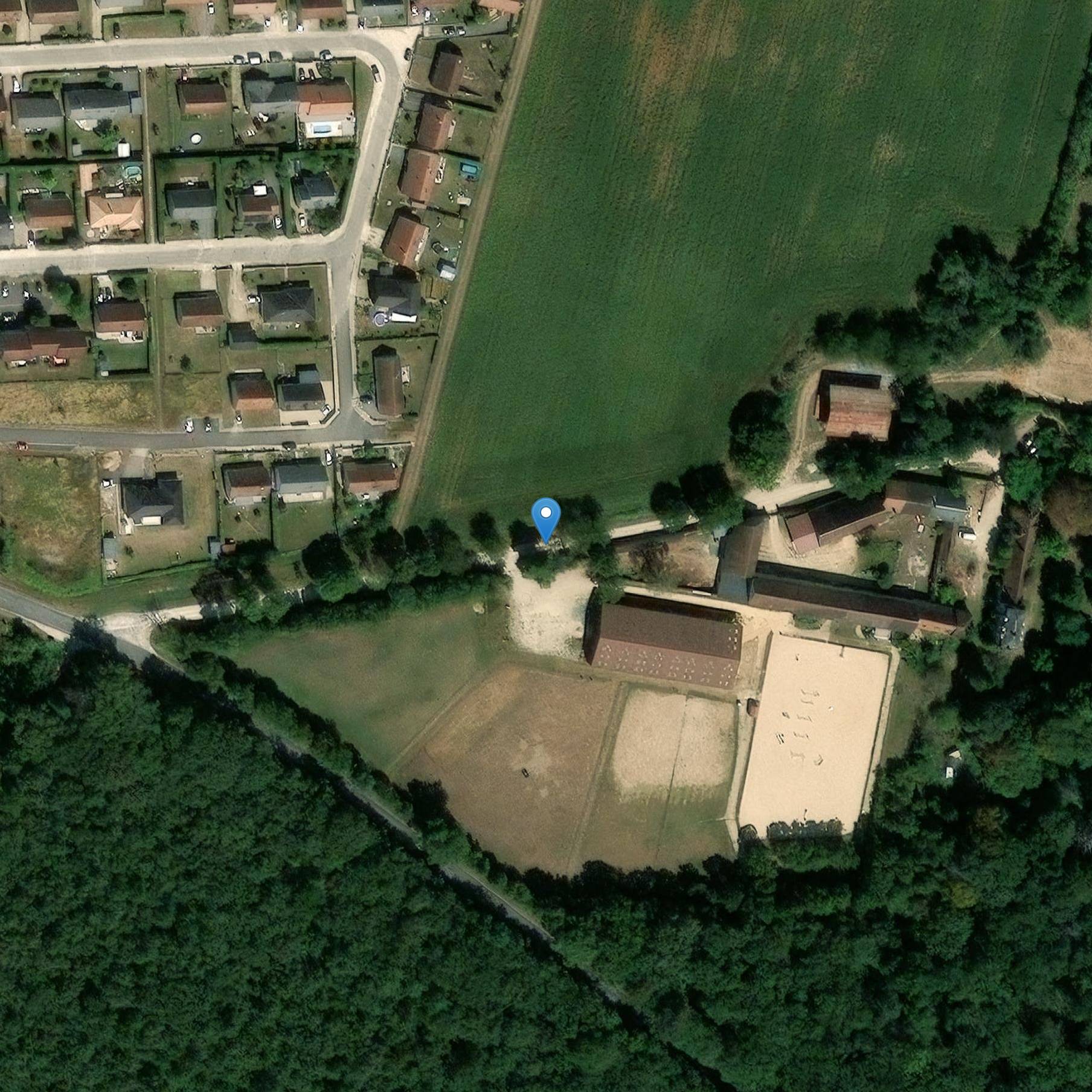 Photo de Castillo del Bosque