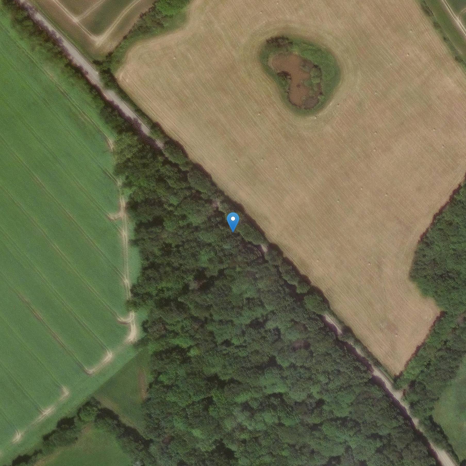 Photo de 弗赖斯内医院