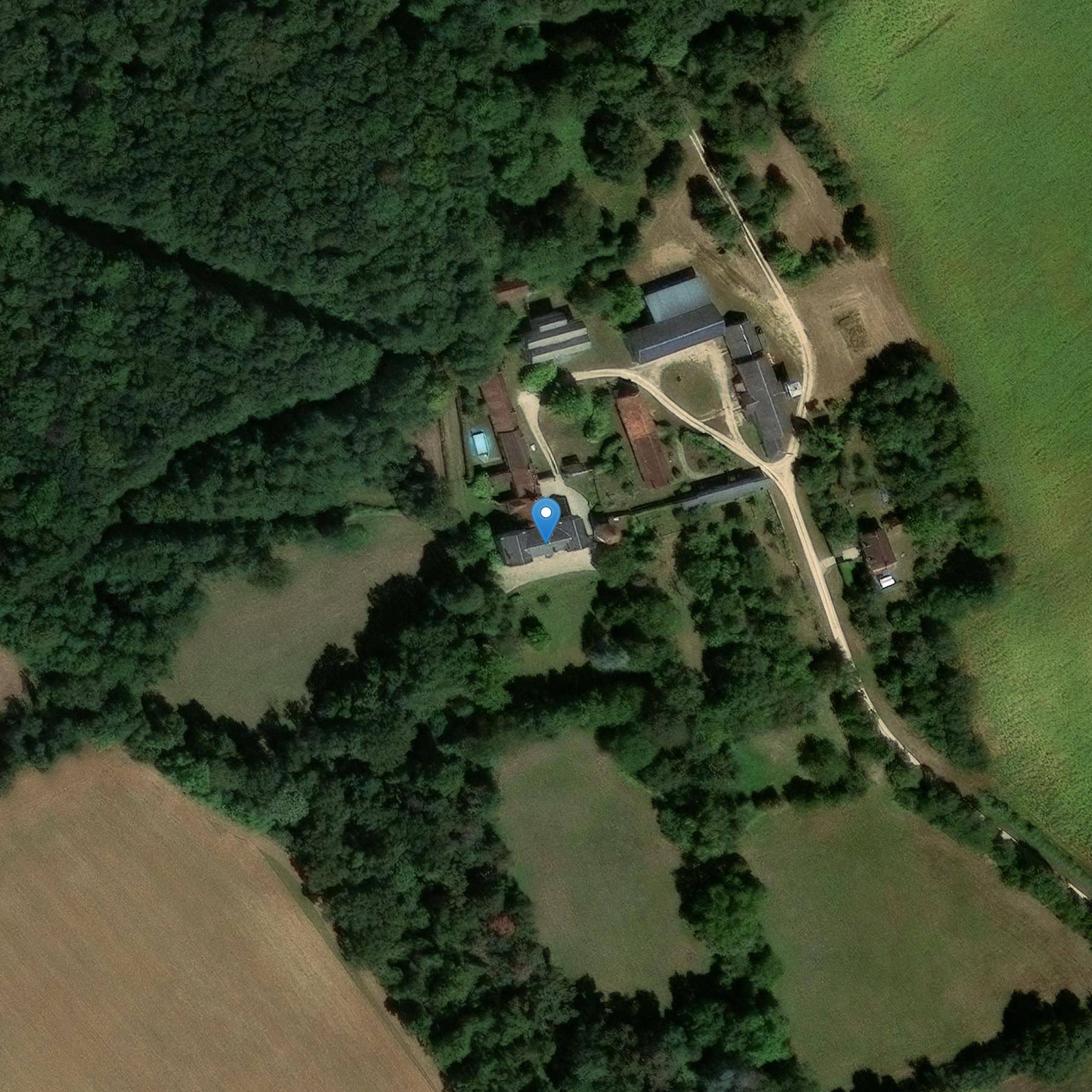 Photo de マンゴー城