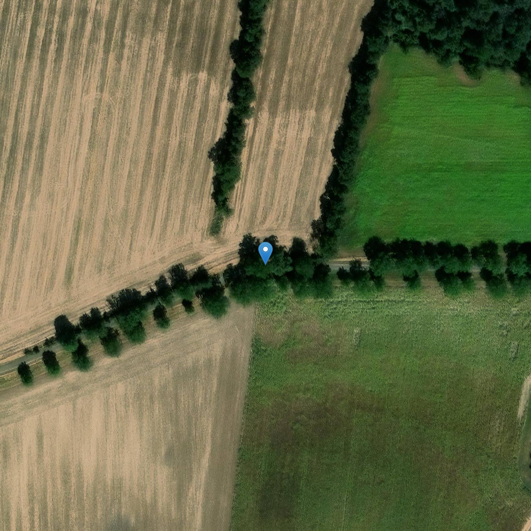 Photo de シャトー・デ・ペリーズ