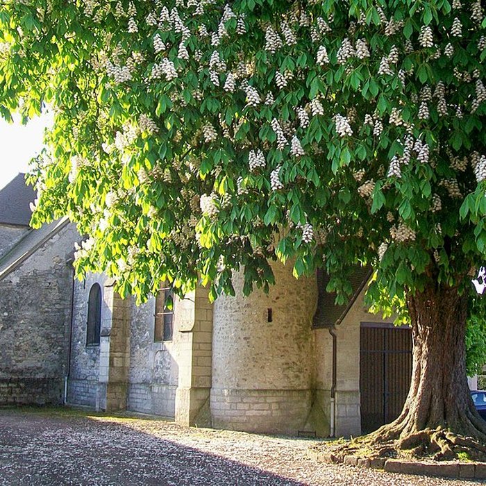 Photo de Église Saint-Rémy de Barbery