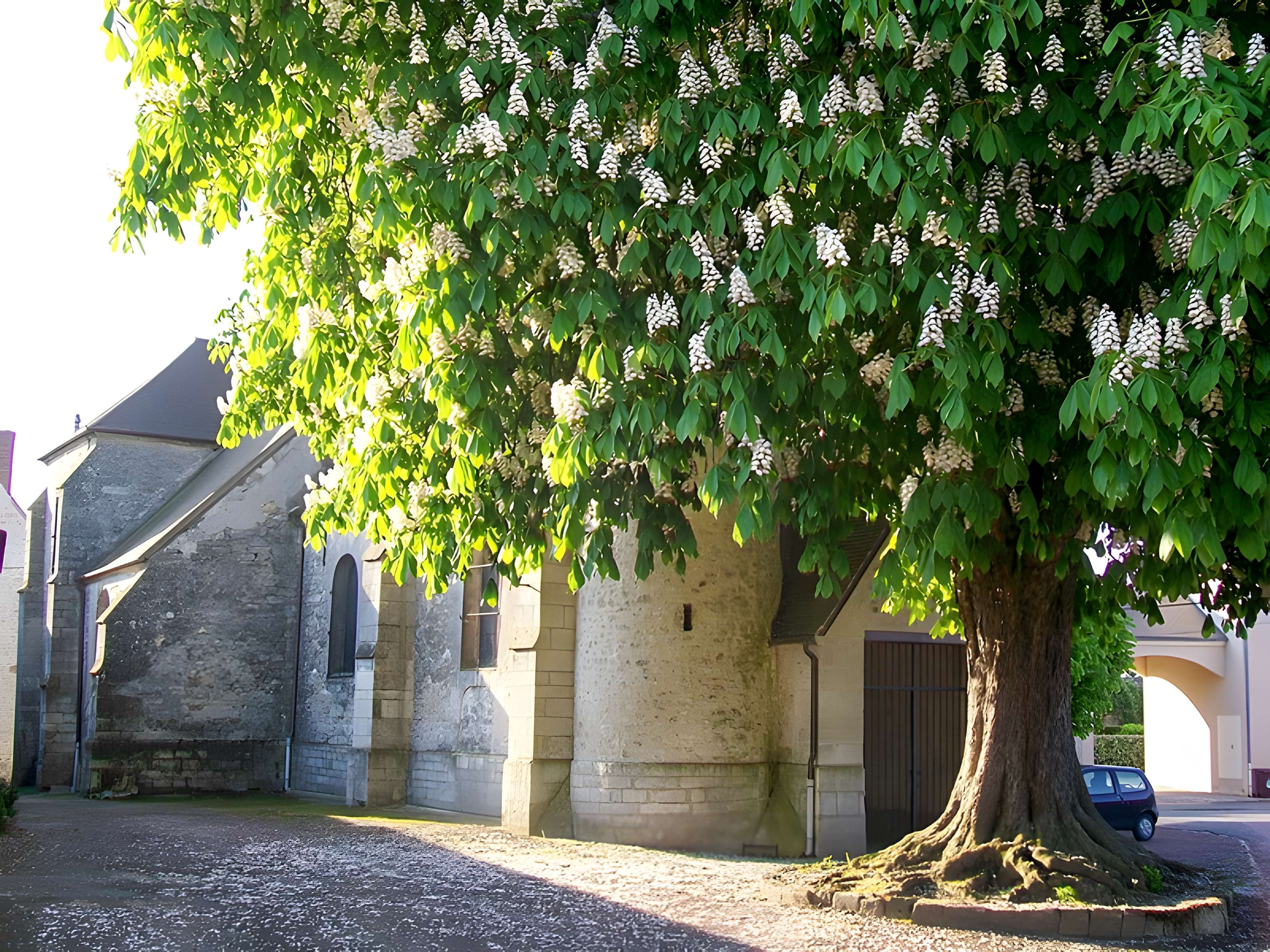 Église Saint-Rémy de Barbery