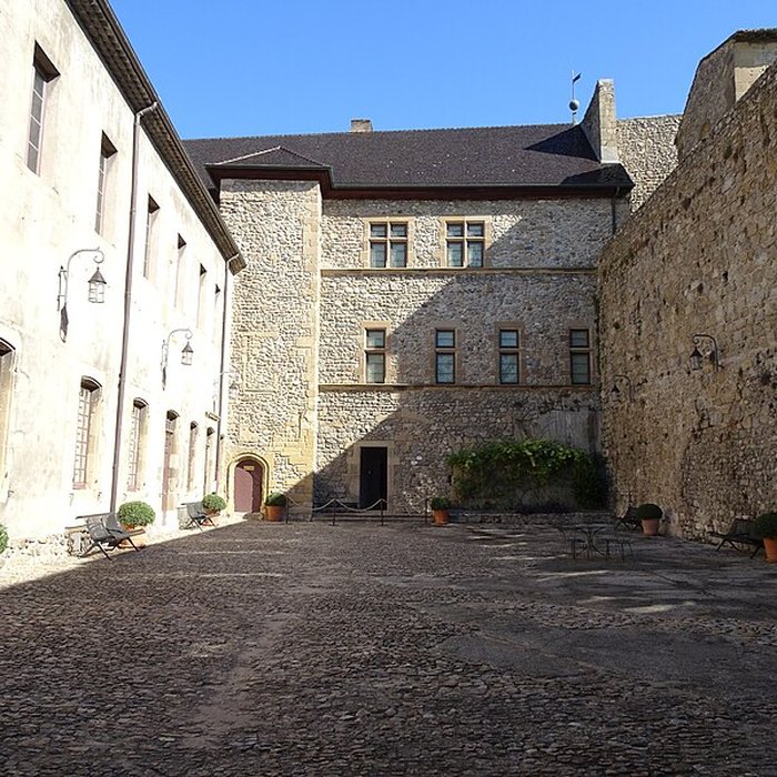 Photo de Musée du Rhône au Château de Tournon