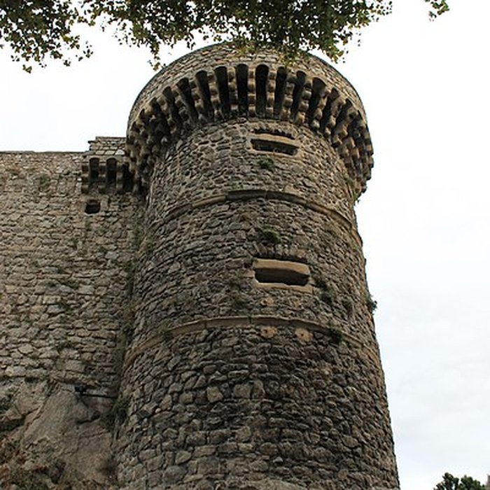 Photo de Musée du Rhône au Château de Tournon