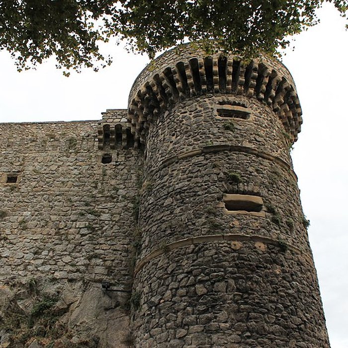 Photo de Musée du Rhône au Château de Tournon