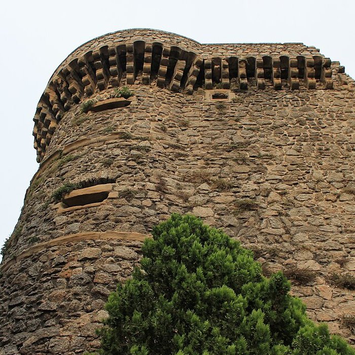 Photo de Musée du Rhône au Château de Tournon