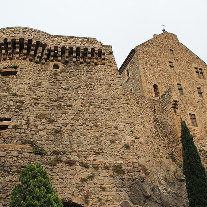 Photo de Musée du Rhône au Château de Tournon