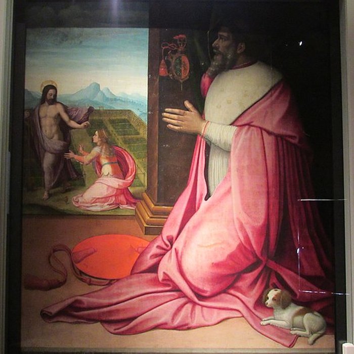 Photo de Musée du Rhône au Château de Tournon