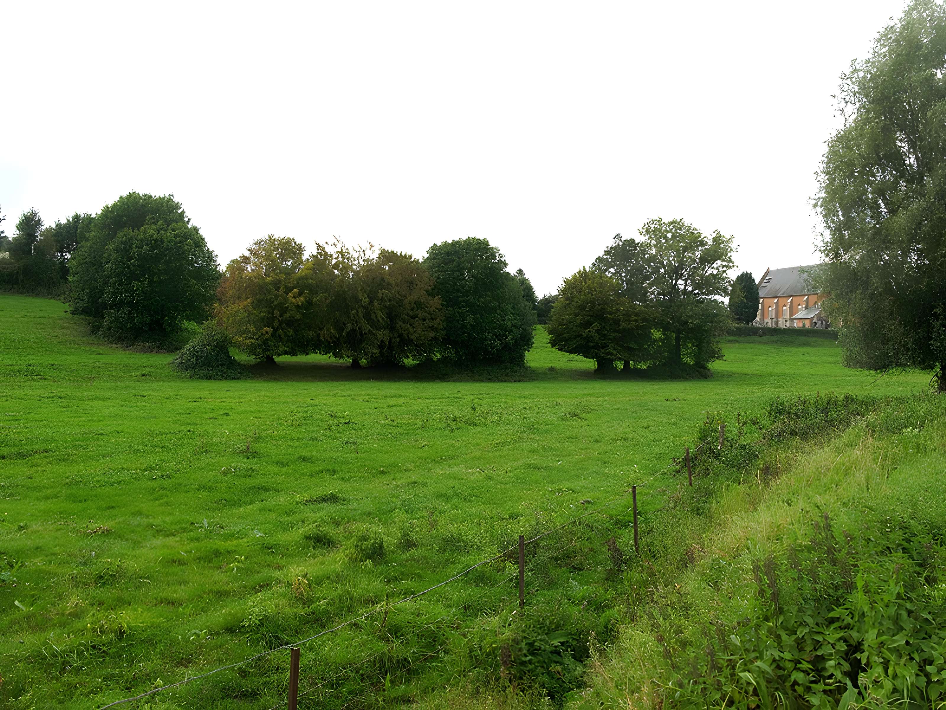 Église Saint-Rémy de Marly-Gomont
