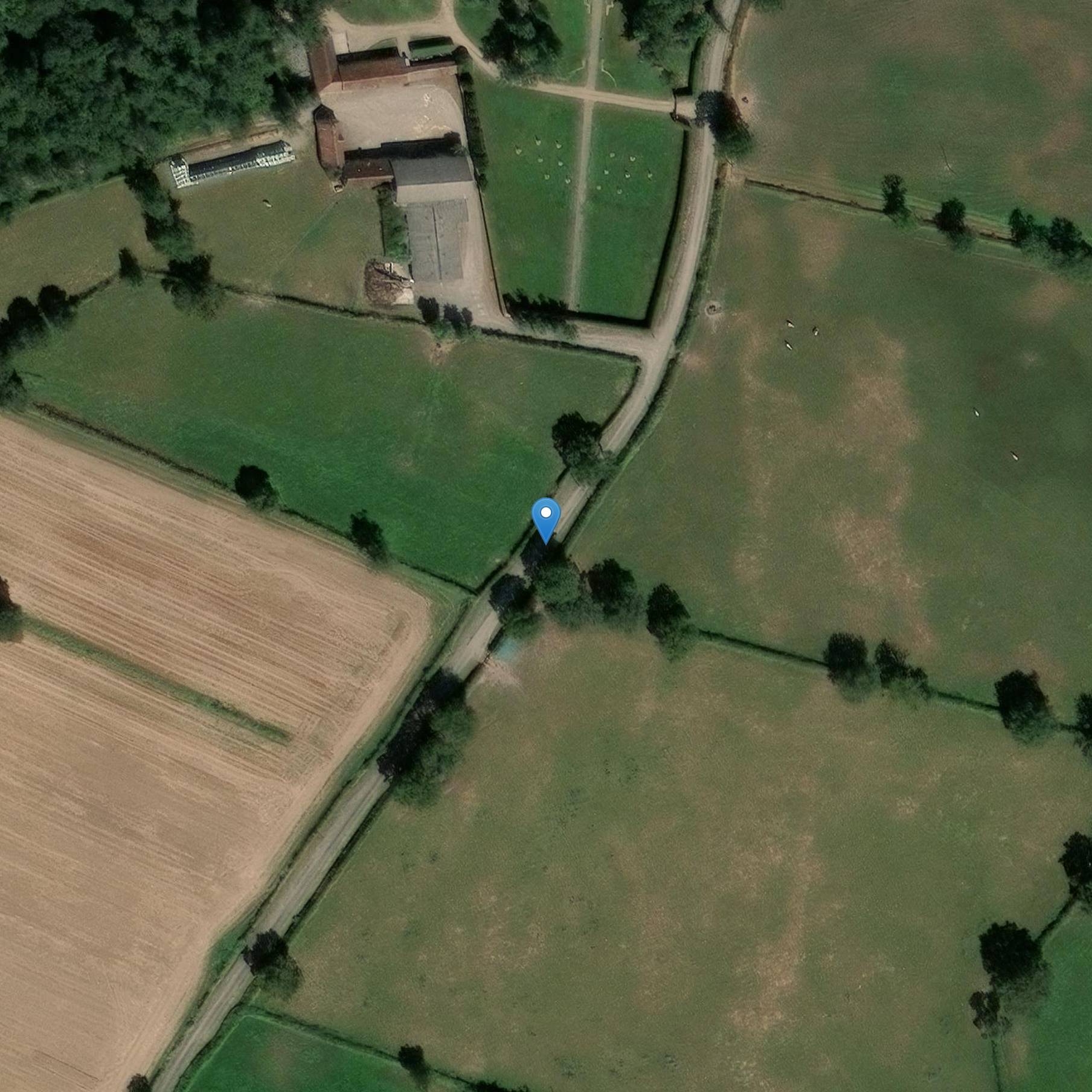 Photo de Castello della Foresta Vecchia