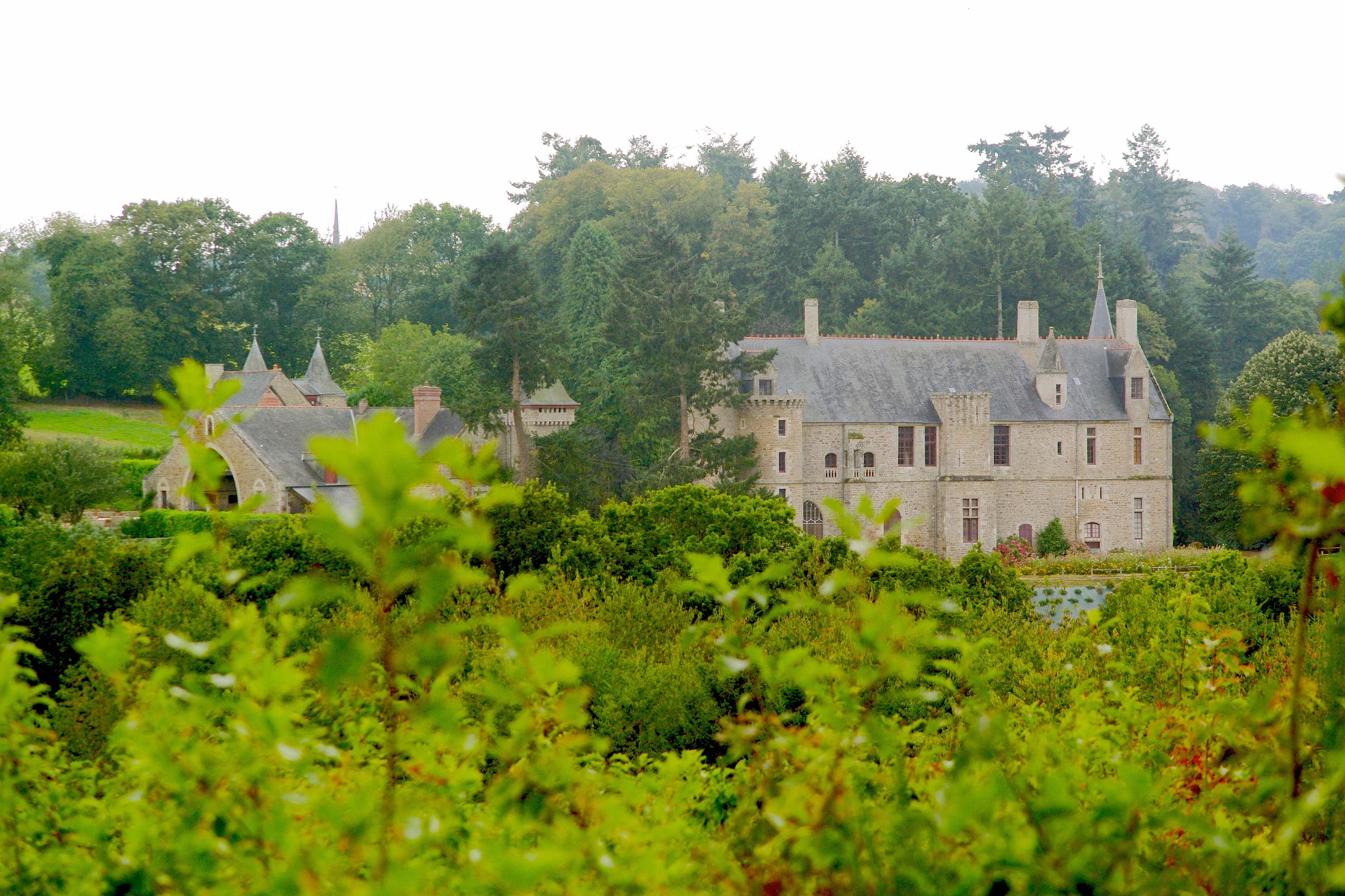 Photo de Château de Beaumont