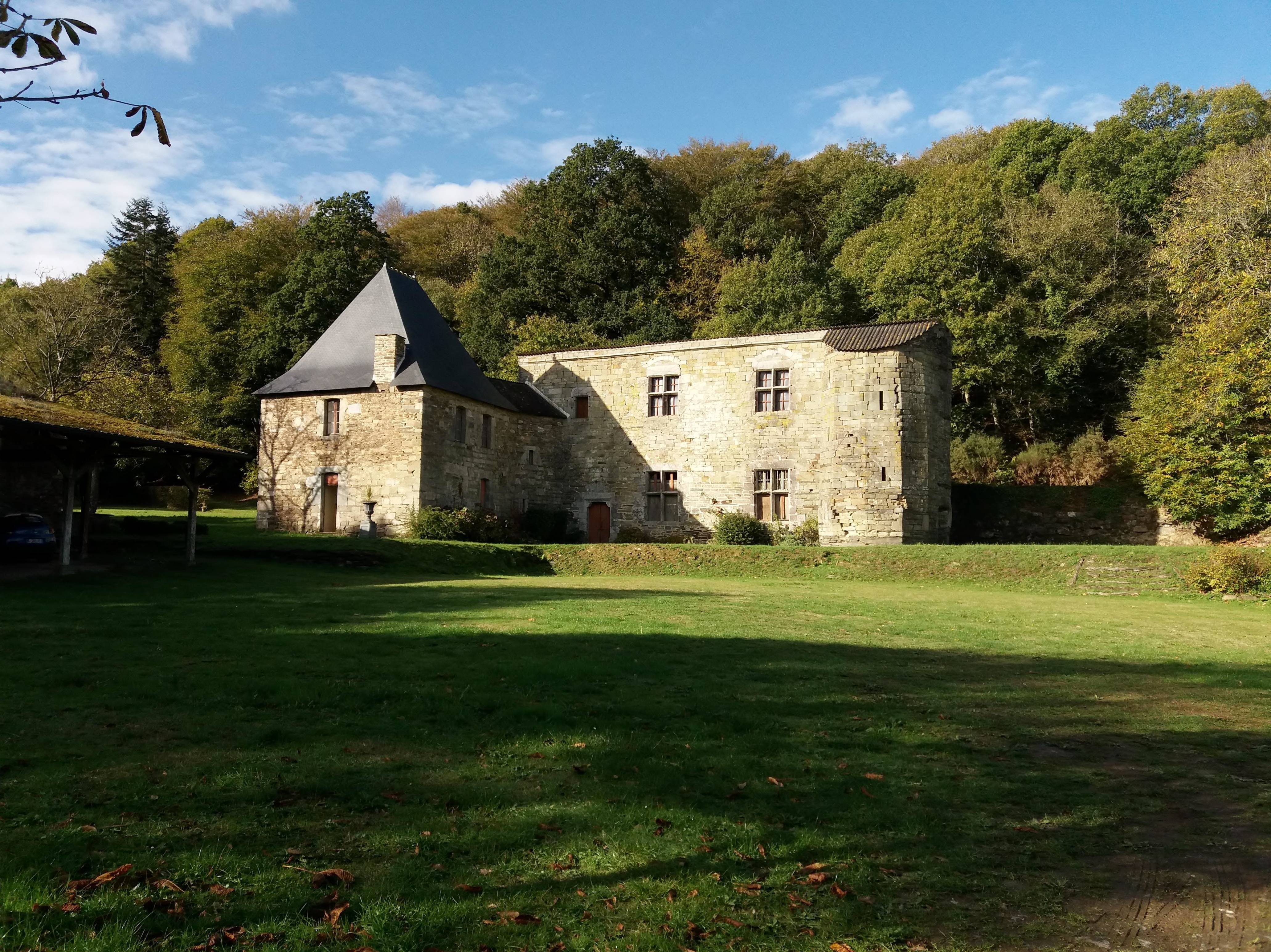 Photo de Château de La Roche-Guéhennec
