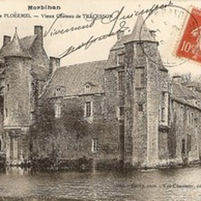 Photo de Château de Trécesson