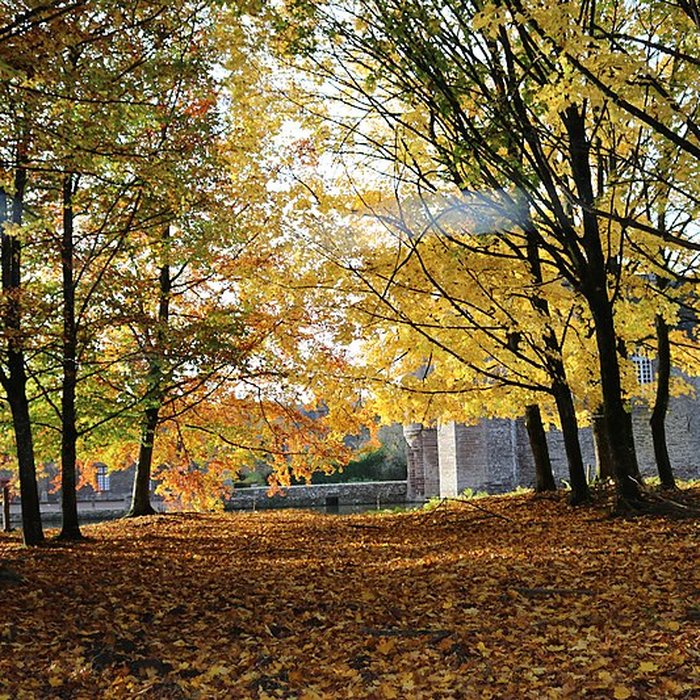 Photo de Château de Trécesson