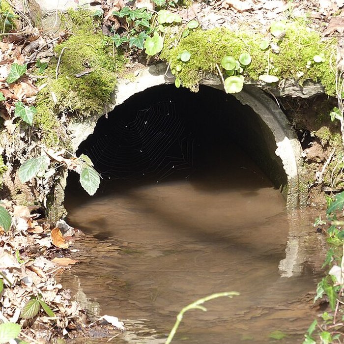 Photo de Château de Trécesson