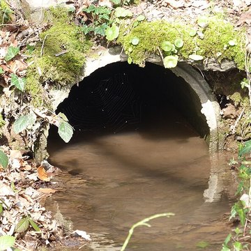 Château de Trécesson