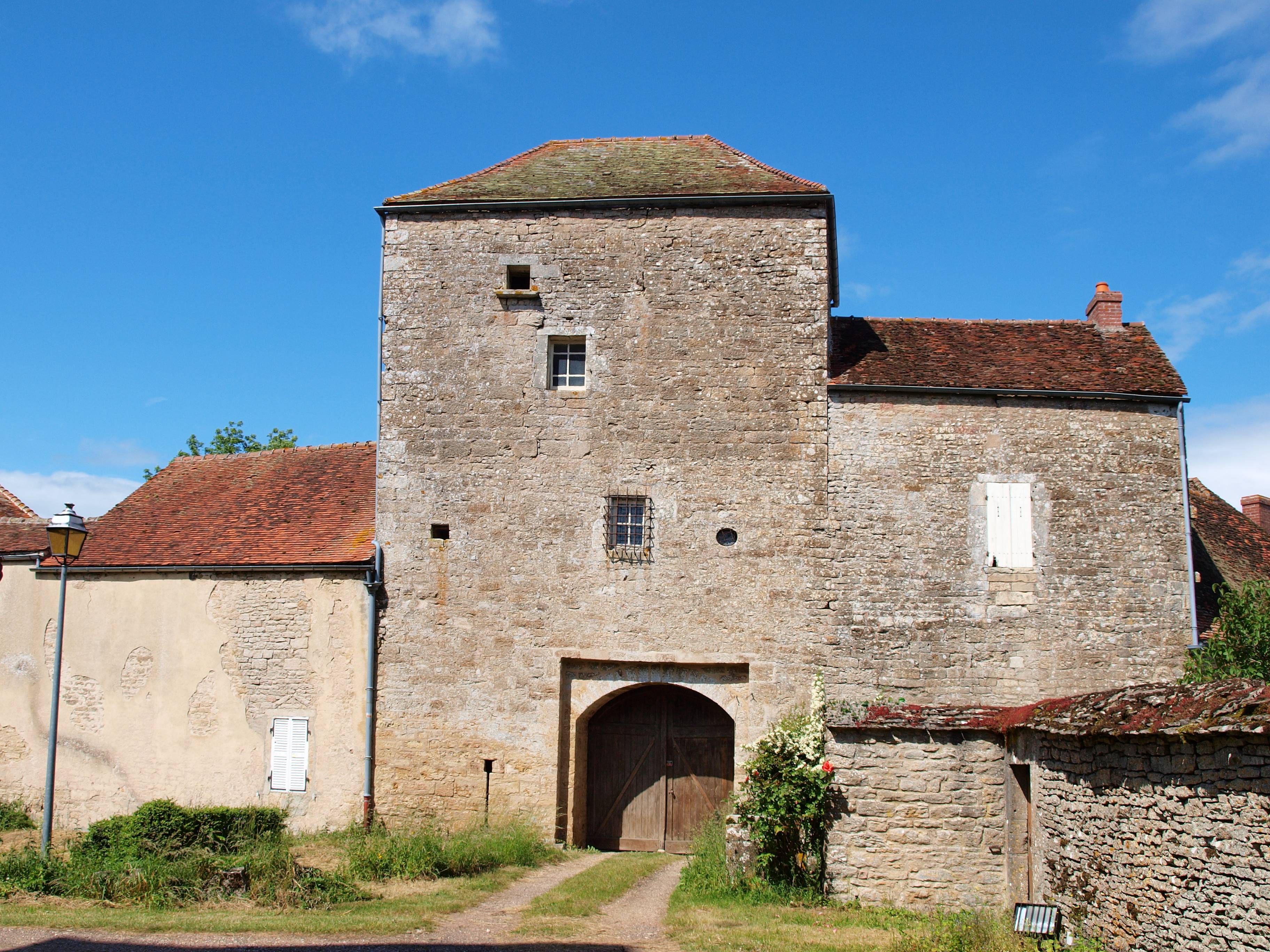Photo de Château de Châtellenot