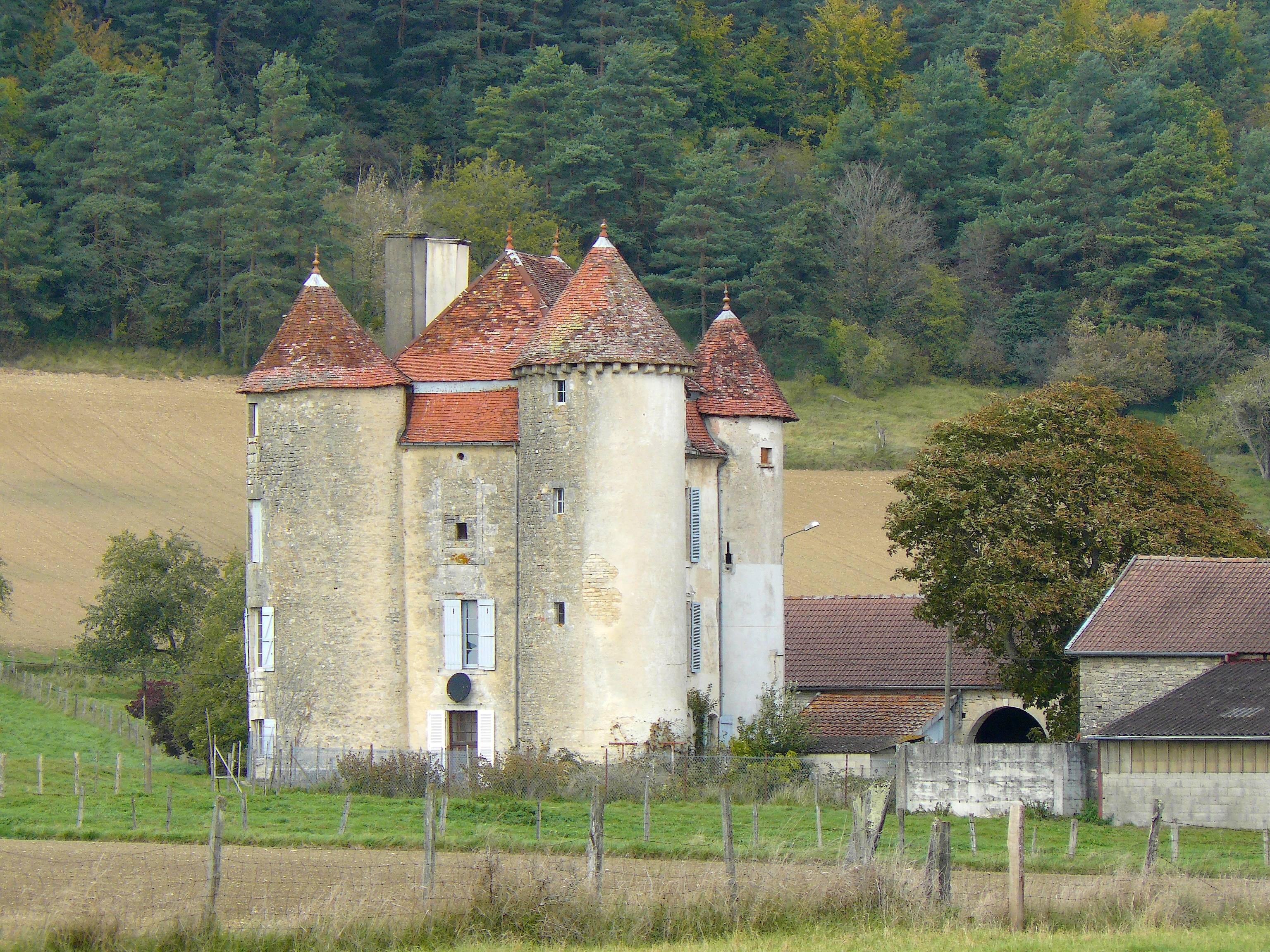 Photo de Château-fort de Mosson
