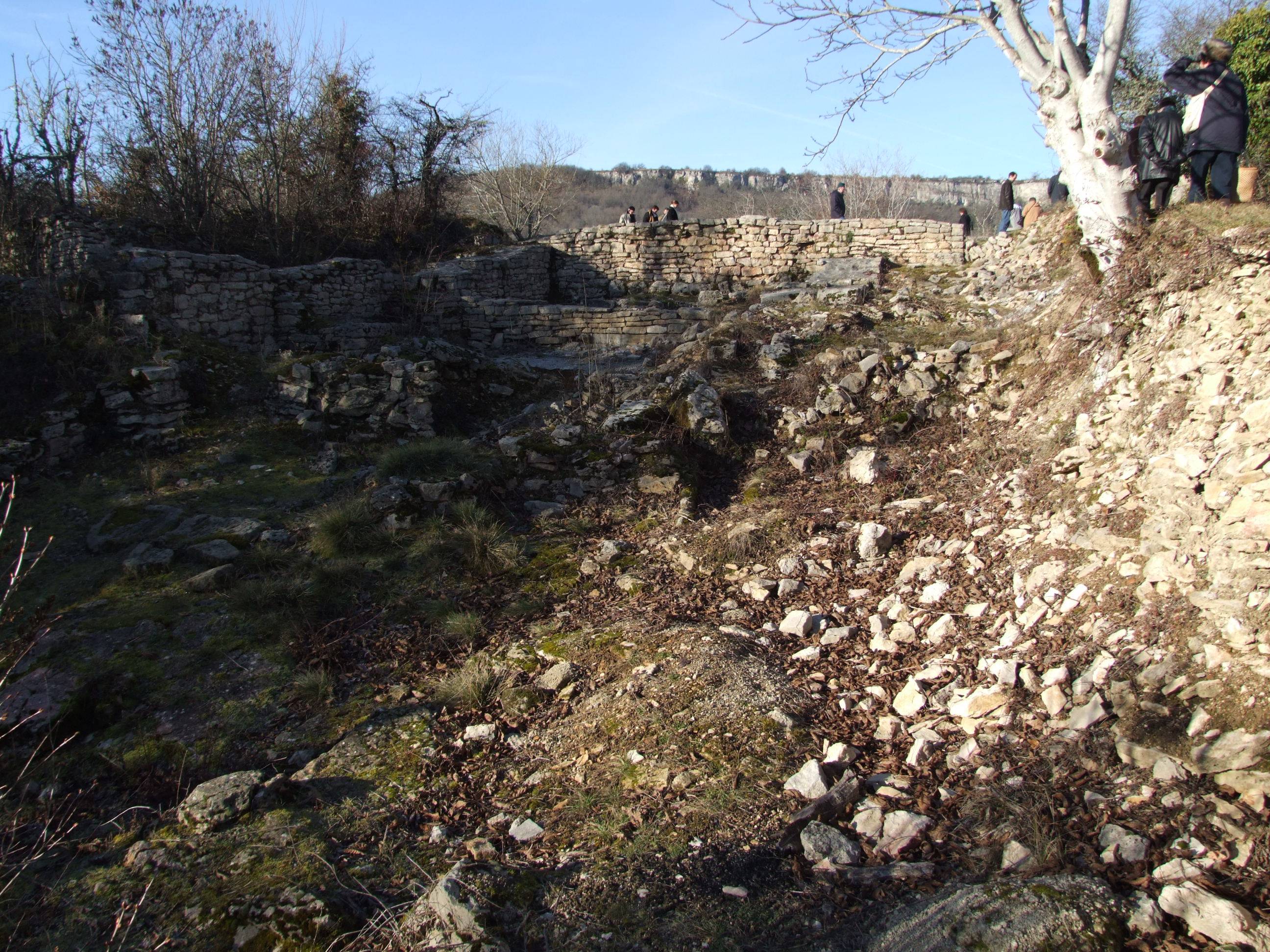 Photo de Château fort de Saint-Romain