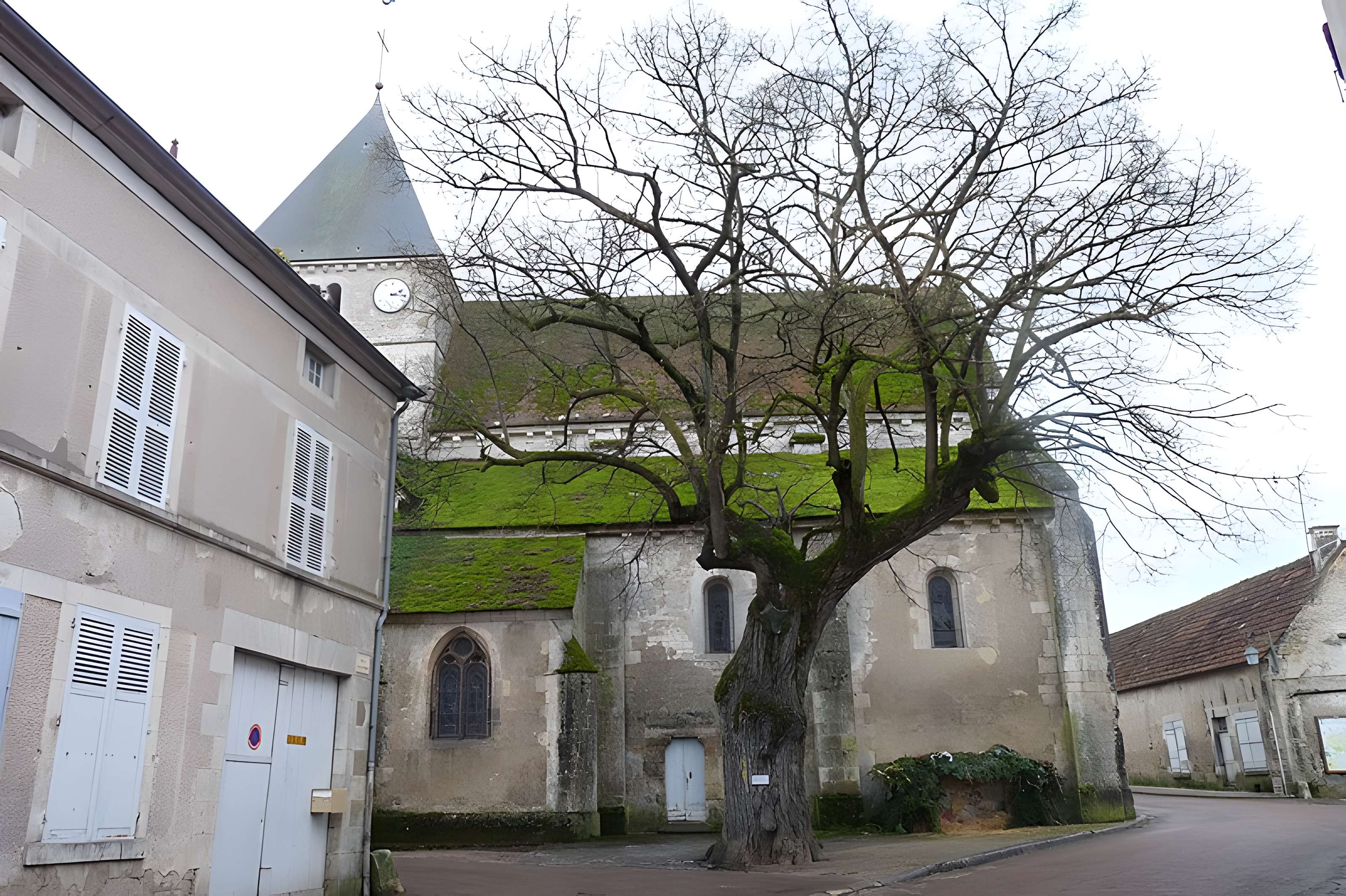 Église Saint-Romain de Druyes-les-Belles-Fontaines