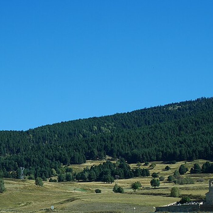Photo de Église Saint-Romain de Réal