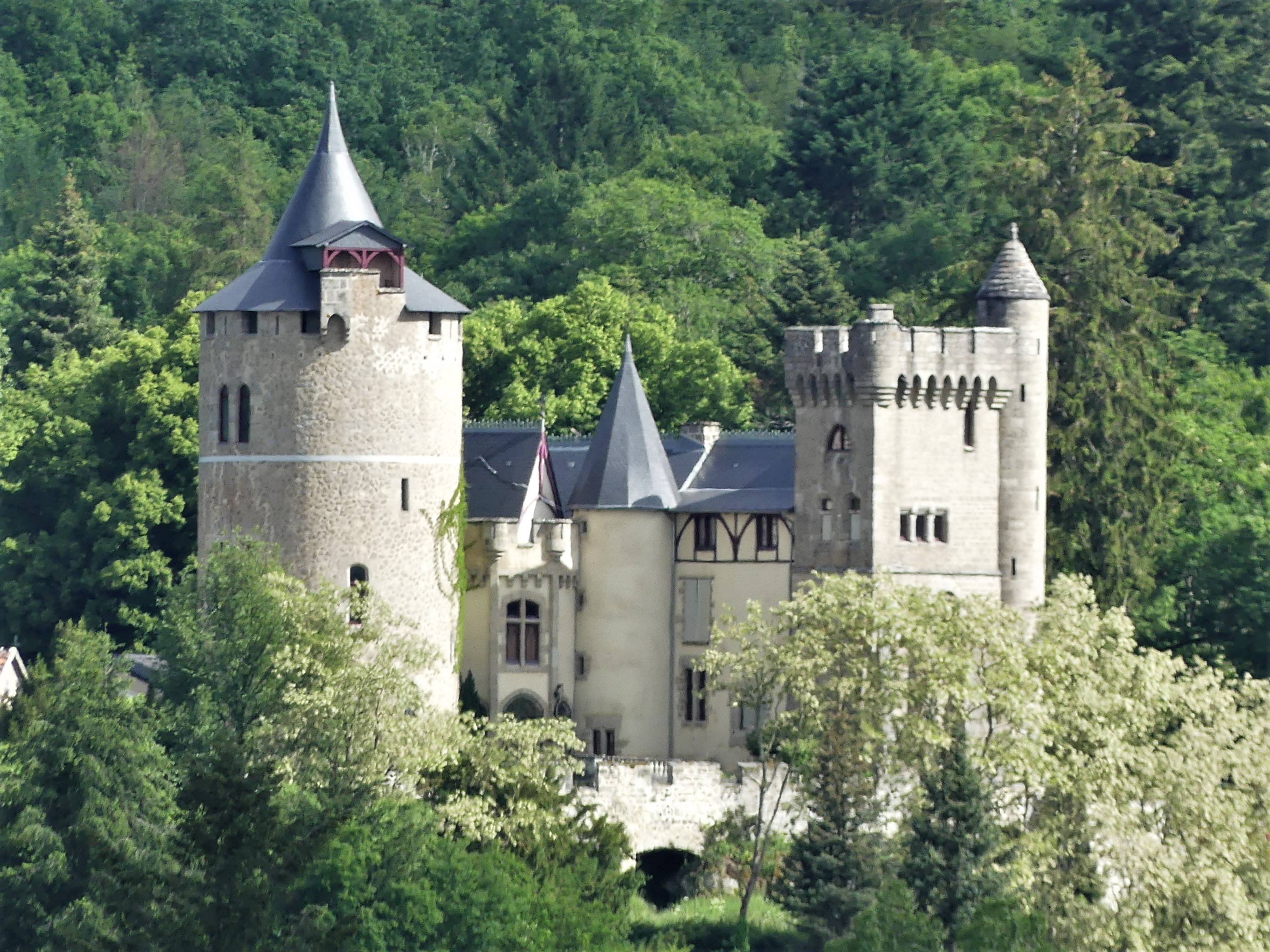 Photo de Château du Fôt