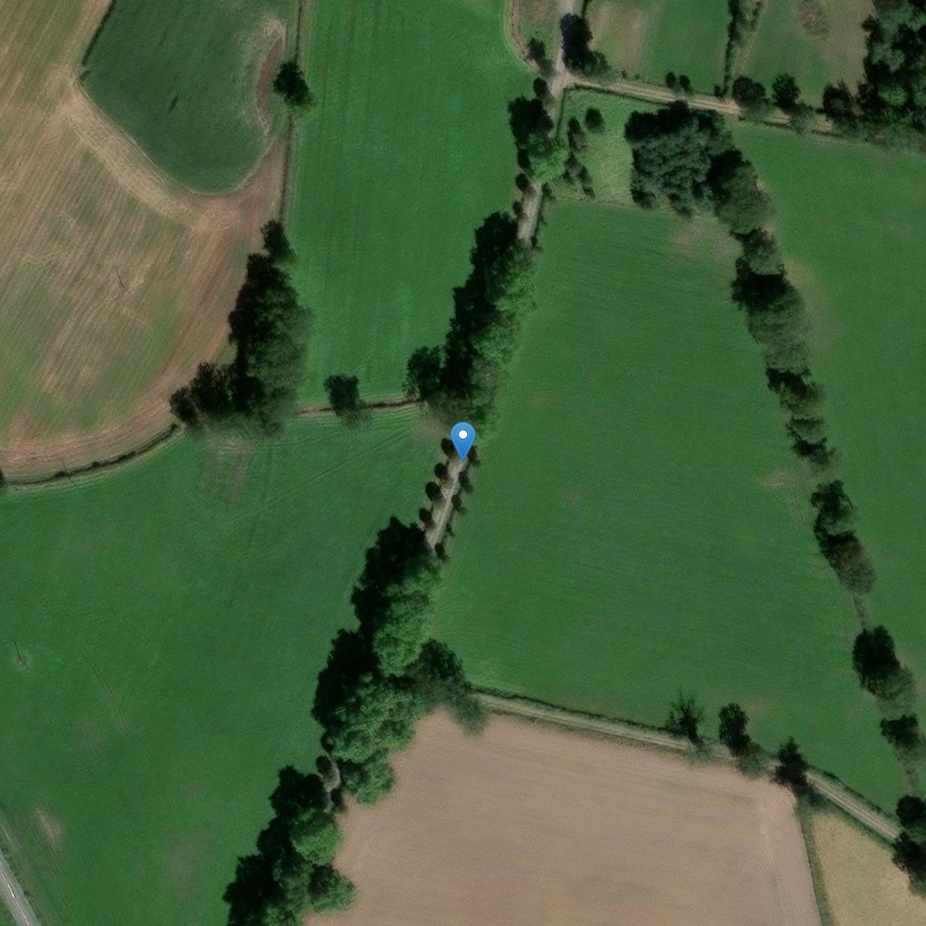 Photo de Castle of Marsat