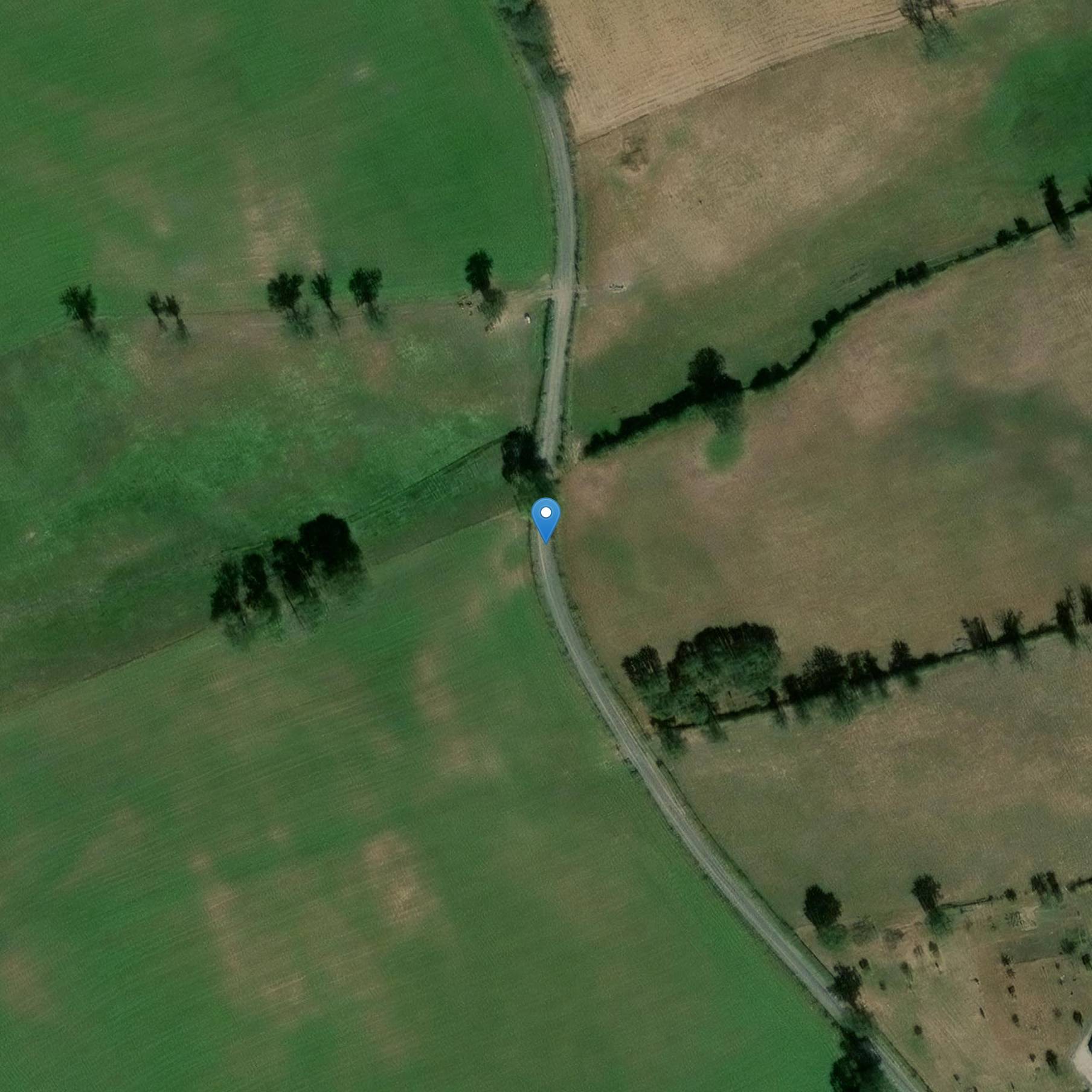 Photo de Château de Périgord