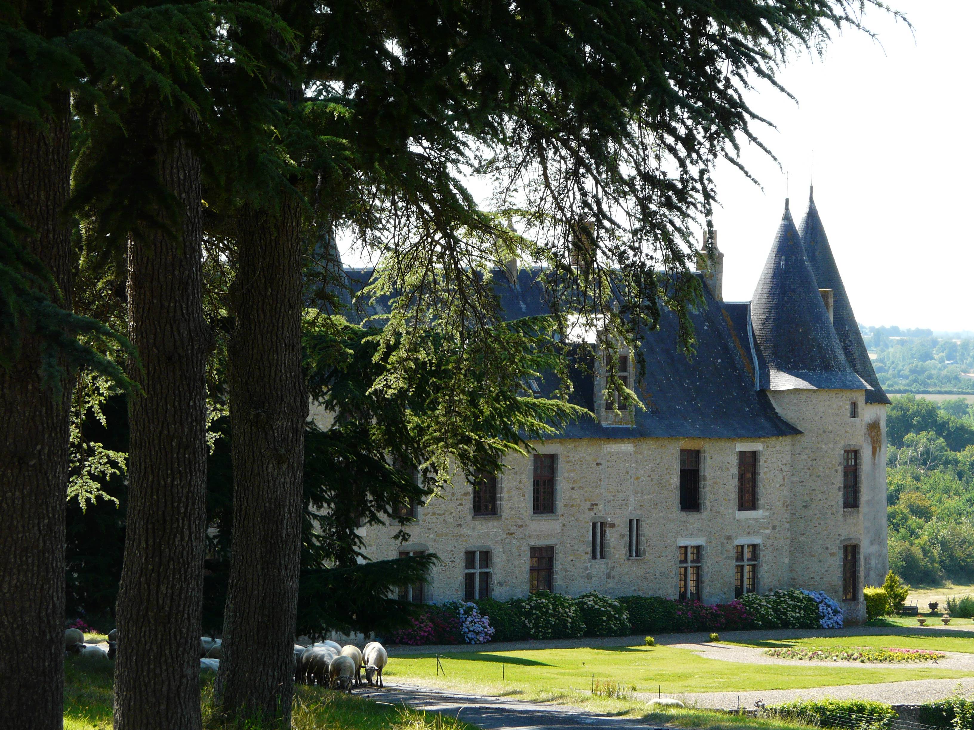 Photo de Château de la Roche Faton