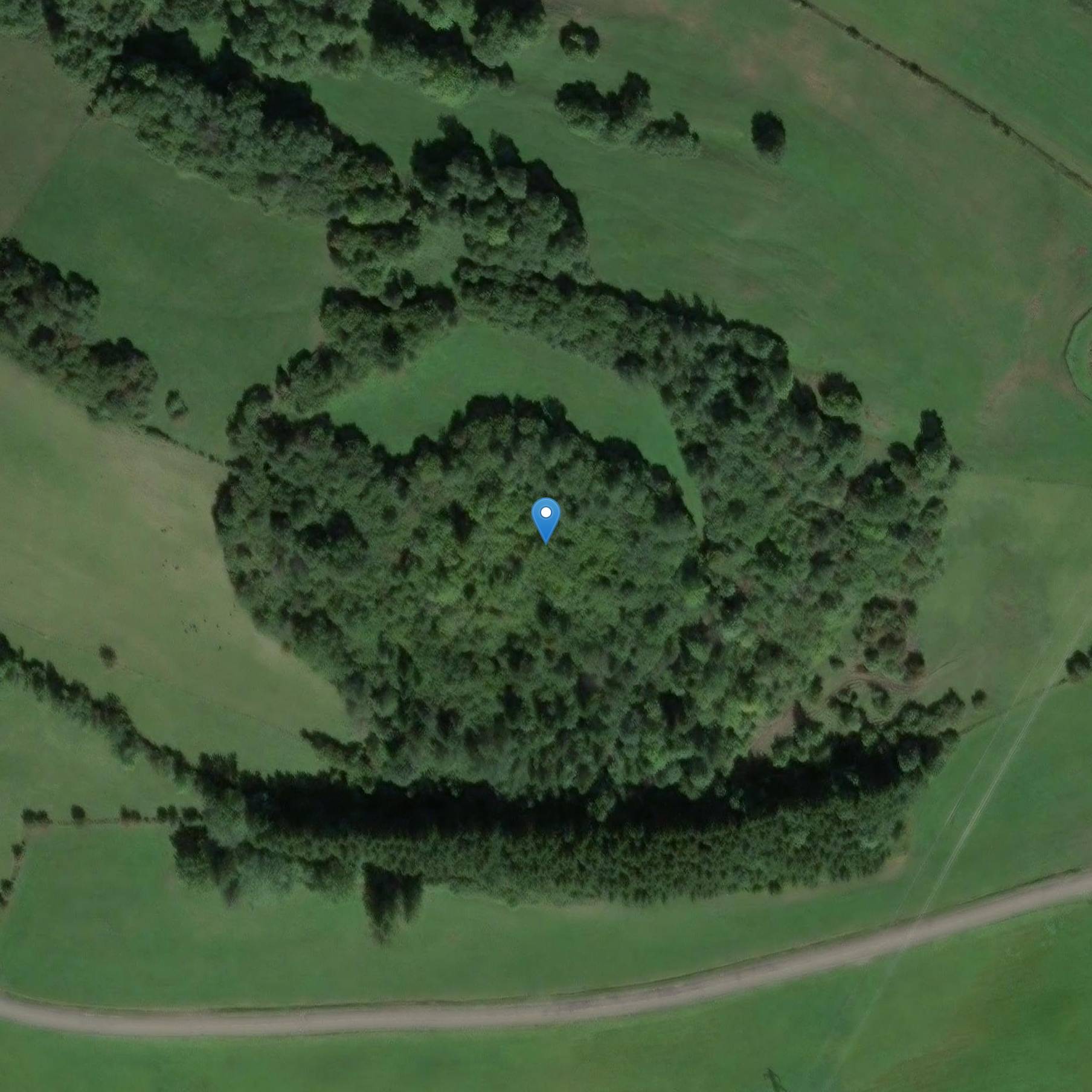 Photo de Château de Puy de Montenot