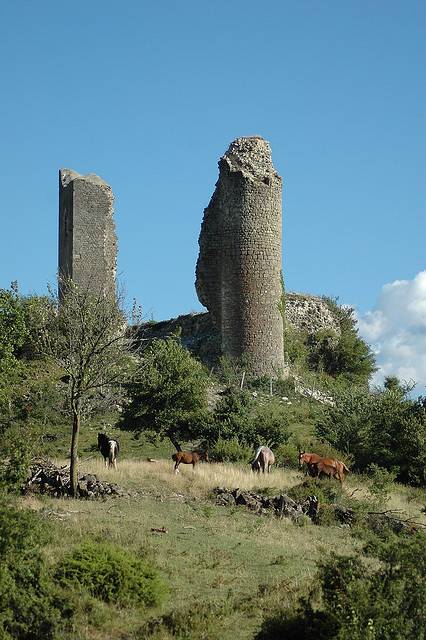 Photo de château supérieur, ditdes comtes de Poitiers
