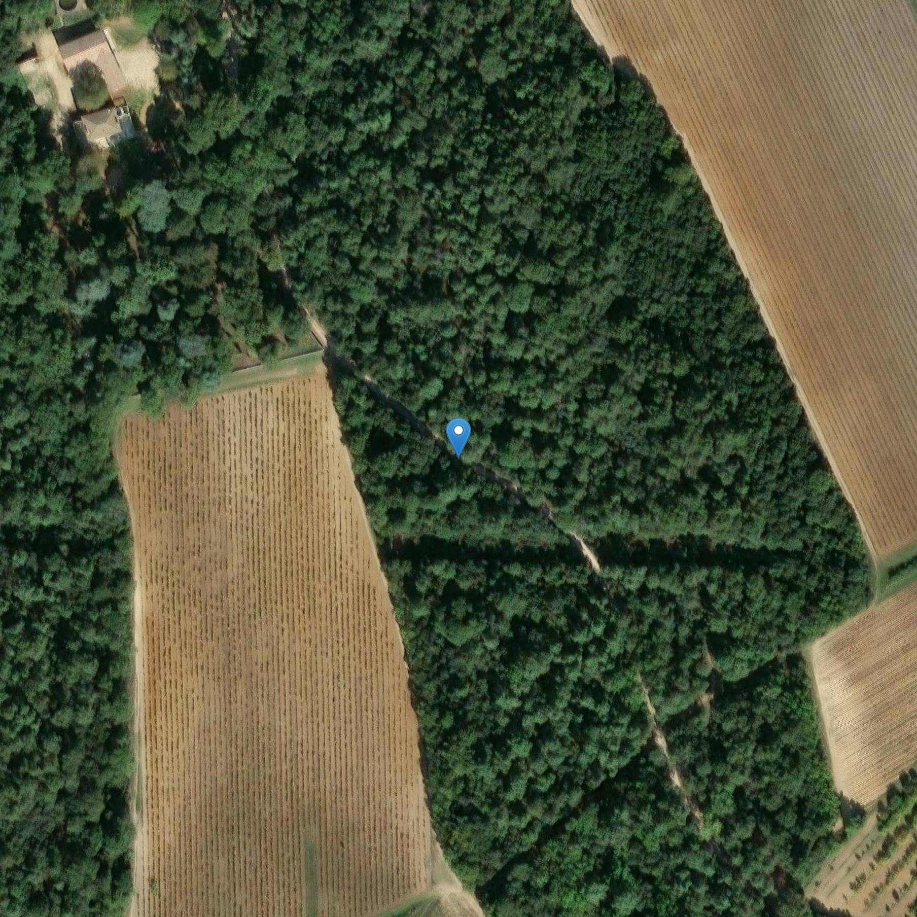 Photo de Château L'Estagnol