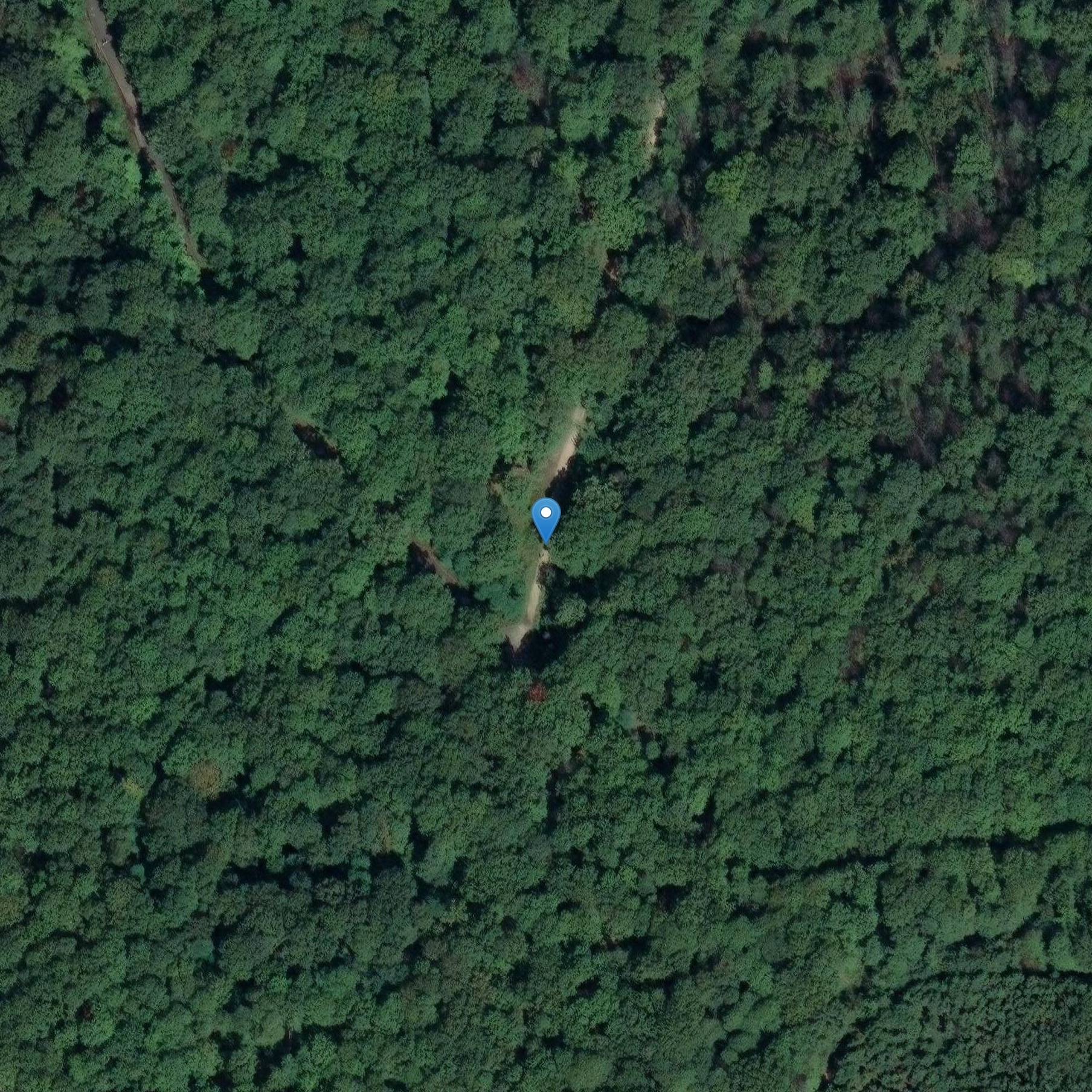 Photo de Château de Verrières