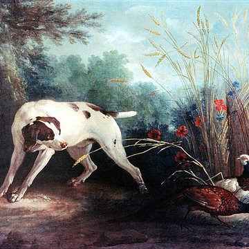 Château de Vaux-le-Vicomte