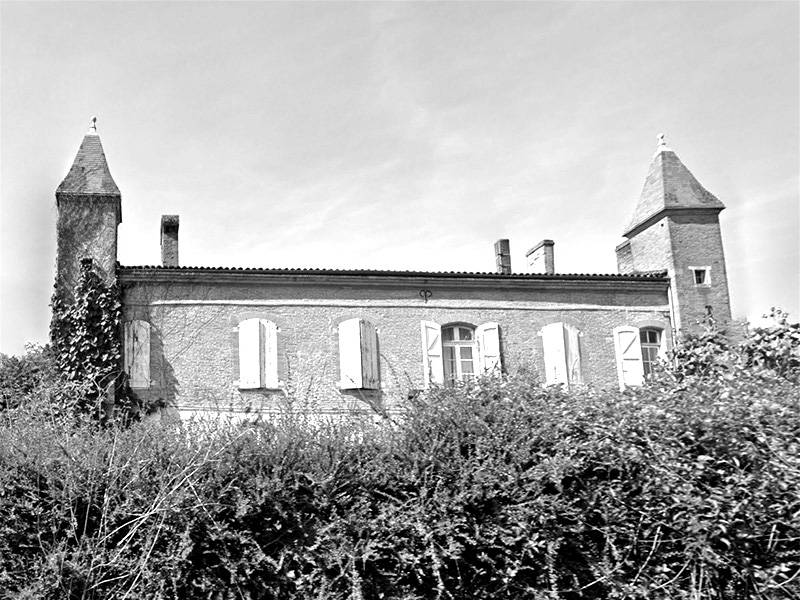 Photo de Château de Mervilla