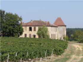 Photo de Château de Mauhic