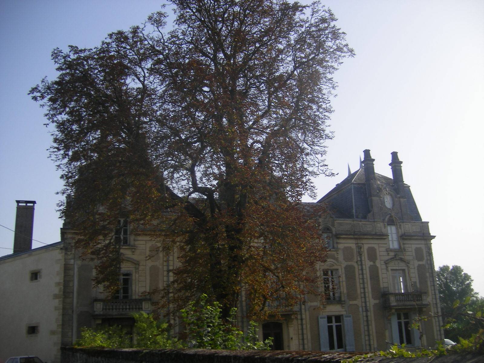 Photo de Château d'Arbieu