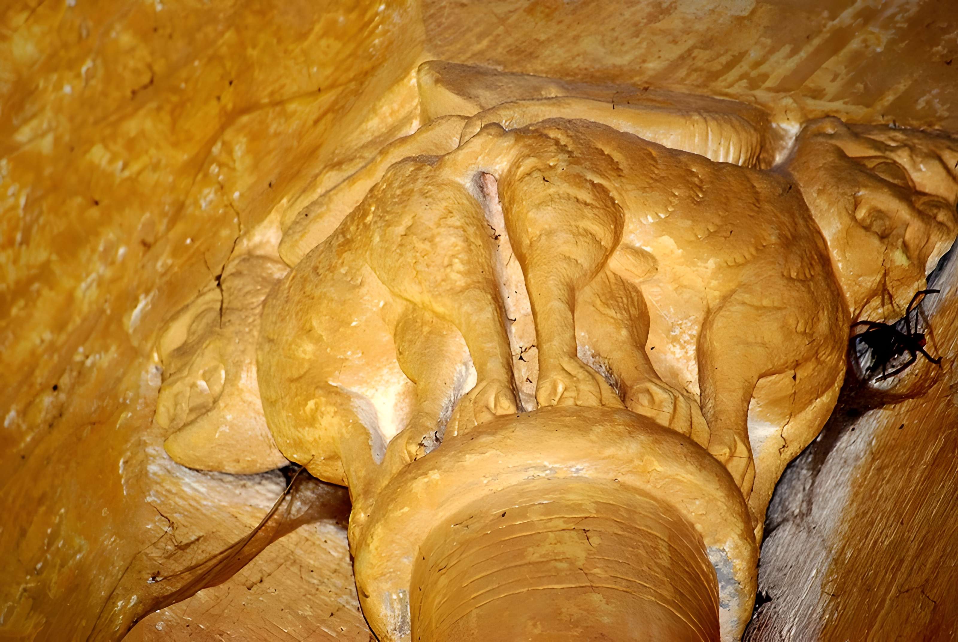 Église Saint-Trojan de Rétaud